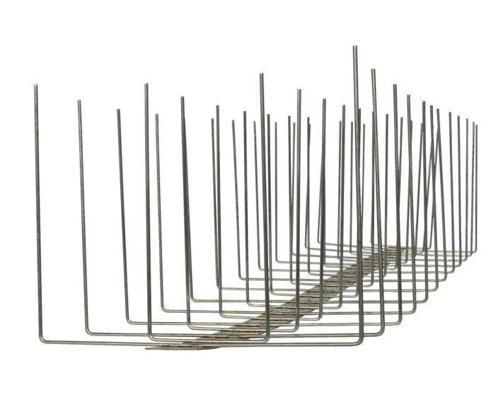 Bird Spike