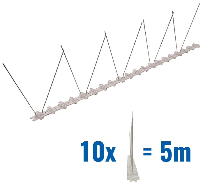 Bird Spike